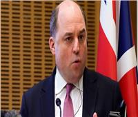 وزير الدفاع البريطاني: نخطط لإرسال أسلحة مضادة للطائرات إلى أوكرانيا