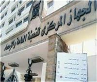 «الإحصاء»: 1.3% زيادة في إجمالي المساحة المنزرعة مقارنة عام 2019 / 2020