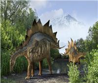 الكشف عن نوع جديد من «ستيجوصور» جاب الأرض منذ حوالي 168 مليون سنة!
