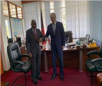 السفير المصري في ليلونجوي يلتقي نائب وزير الدفاع المالاوي