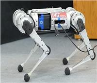 تطوير روبوت «الفهد الآلي» غير قابل للتدمير| فيديو