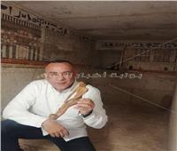 مصطفي وزيري يكشف تفاصيل مقبرة «حينو» في سقارة| فيديو 