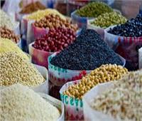وزير التموين: طرح السلع الغذائية في رمضان بأسعار فبراير 