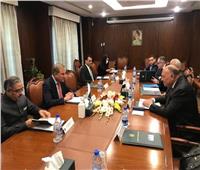 شكري يؤكد حرص مصر على دفع مجالات التعاون الثنائي مع باكستان على كافة الأصعدة