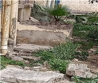 إزالة التعديات على حدائق شجرة مريم بالمطرية لتحويلها لمزار سياحي 