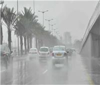 الأرصاد: فرص سقوط أمطار خفيفة على القاهرة الكبرى اليوم |فيديو 