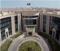 «الداخلية» تحرر 109 قضايا تموينية بمضبوطات 479 طن