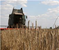 وزير الزراعة الفرنسي: الحرب الأوكرانية ستسبب أزمة غذاء عالمية