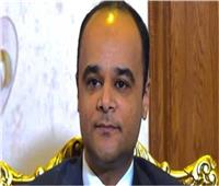 نادر سعد: مجلس الوزراء أقر اليوم الموازنة العامة للدولة | فيديو  
