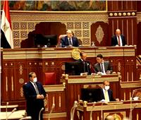 «الشيوخ» يوافق على المادة 88 بإنشاء مكاتب تمثيل بمصر لشركات التأمين الأجنبية