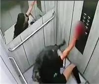 الحكم بالإعدام على كلب هاجم صاحبته بالمصعد فى جريمة مروعة