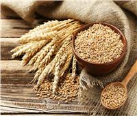 الزراعة: نتوقع زيادة المساحة المزروعة من القمح لـ761 ألف طن بالشرقية