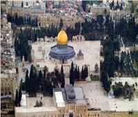 الأردن يدين اقتحام عضو في الكنيست الإسرائيلي المسجد الأقصى