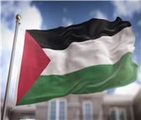 مجلس حقوق الإنسان يعتمد قرارًا لصالح فلسطين.. والخارجية الفلسطينية ترحب