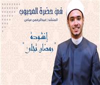 في حضرة المحبوب | إنشودة «رمضان تجلى» مع المنشد عبدالرحمن عباس | فيديو