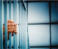 حبس شخص ضبط بحوزته كمية كبيرة من مخدر الحشيش بالشروق 