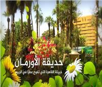 3 معارض بحديقة الأورمان تستقبل المواطنين حتى نهاية شهر رمضان
