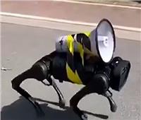 كلب آلي يجوب شوارع الصين يشعل مواقع التواصل الاجتماعي | فيديو