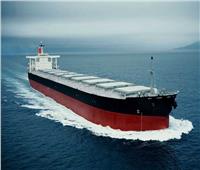 اقتصادية قناة السويس: تفريغ 2361 طن رخام وتداول 18 سفينة بموانئ بورسعيد