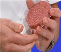 أغنى رجل في العالم يختبر إنتاج شرائح لحم مزيفة