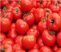 «المزارعون»: انخفاض أسعار الطماطم في الفترة المقبلة