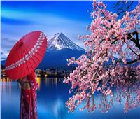لجمال بشرتك..  7 فوائد لزهر الكرز الياباني لبشرة خالية من العيوب 
