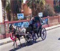 جولة لعدد من السياح الأجانب في شوارع بورسعيد