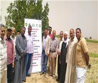 «بحوث الصحراء» يطلق حملة إرشادية لتحسين محصول عباد الشمس الزيتي في المنيا