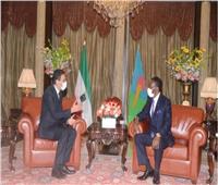 السفير المصري في مالابو يقدم أوراق اعتماده إلى رئيس غينيا الاستوائية 