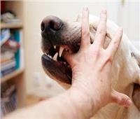 «داء الكلب».. مرض مميت يجعل صاحبة يخشى من الماء |بالڤيديو