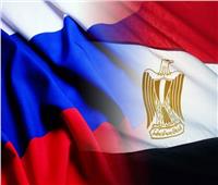 الخارجية الروسية تطلع مصر على أهداف العملية العسكرية في دونباس