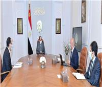 السيسي يتابع تطوير خطط الربط النهري بين مصر والسودان