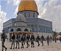 الناطق باسم الرئاسة الفلسطينية: إسرائيل تريد هدم المسجد الأقصى | فيديو