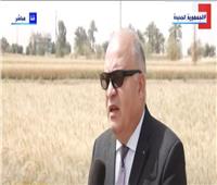 محافظ قنا: انطلاق موسم حصاد القمح في قرية المراشدة «يبشر بالخير»|فيديو