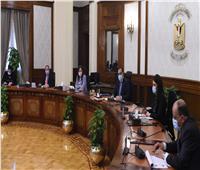 رئيس الوزراء يتابع الموقف التنفيذي لبرنامج التنمية المحلية بصعيد مصر 