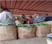 محافظ الشرقية يتفقد شادر الخضروات بمدينة منيا القمح