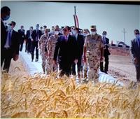 الرئيس السيسي يشهد بدء موسم حصاد القمح