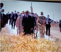 الرئيس السيسي يعطي الأذن ببدء موسم حصاد القمح