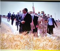 تعمل بالطاقة الشمسية.. الرئيس السيسي يستمع لشرح مفصل عن مزرعة الفرافرة 