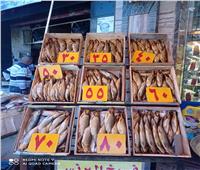 «التموين» تشن حملات مكثفة على أسواق الأسماك المملحة بالإسكندرية 