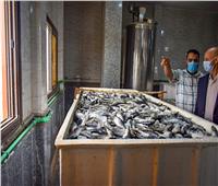 غلق مصنع للأسماك المدخنة وإعدام لحوم غير صالحة للاستهلاك بالشرقية