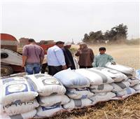رئيس مركز شبين الكوم يتابع حصاد وتوريد القمح للصوامع