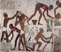 خبير أثري: مصر القديمة من أولى الحضارات التى قدست العمل والعمال