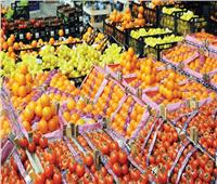 خبير اقتصادي: المنتج الزراعي المصري بدأ يدخل أسواق جديدة | فيديو