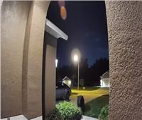 دب ضخم يهاجم زوجان أمام منزلهما في فلوريدا| فيديو  