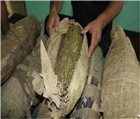 «معلومة» تقود مباحث القليوبية لضبط 3 تجار مخدرات بأسلحة نارية