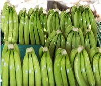 أخصائية تغذية توضح تأثير تناول الموز الأخضر على الصحة