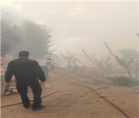 حريق هائل بمزرعة بالقناطر الخيرية بالقليوبية | صور