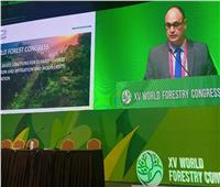 رئيس جهاز شئون البيئة: الغابات من أهم النظم البيئية لمكافحة تغير المناخ