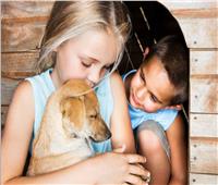 بريطانيا تحذر: الكلاب الأليفة قد تكون سبباً في الالتهاب الكبدي للأطفال